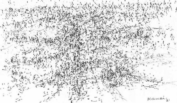 もりたかめい作「Landscape-2021」