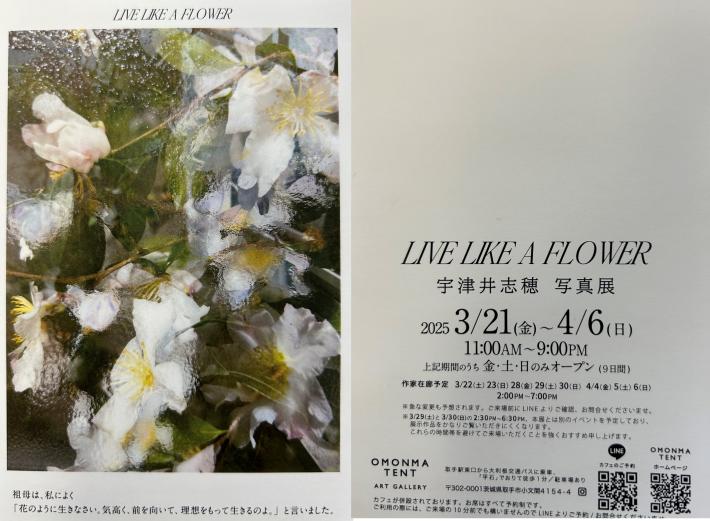 白い花の写真があるポストカードと写真展の日時や開催場所が書かれた案内