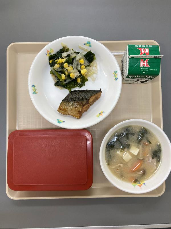 赤い容器に入った米飯、牛乳、みそ汁、焼き魚、サラダがお盆にのっている