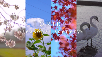 TORIDE-seasonal scenery-動画サムネイル画像
