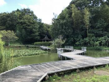 景観池と桟橋の風景