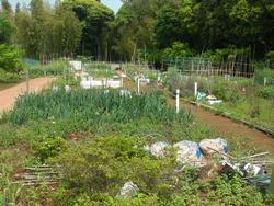 取手市農業ふれあい公園内農園の画像。手前に耕作地が、奥には緑が広がる。