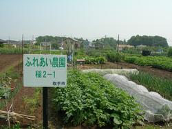 稲のふれあい農園の画像。看板の後ろに耕作地が見えている。