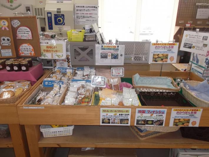 ポニーの家売り場