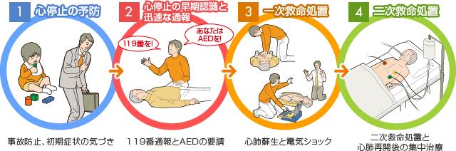 救命のリレーの図:1.心停止の予防、2.心停止の早期認識と迅速な通報、3.一次救命処置、4.二次救命処置